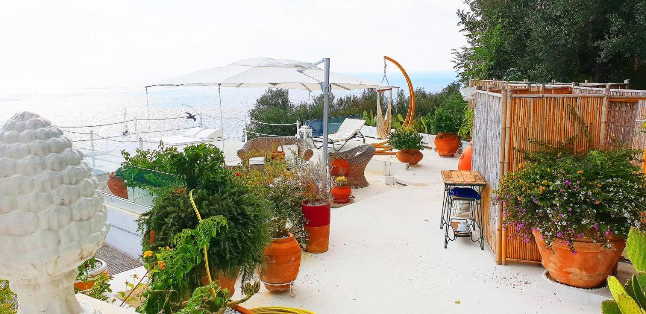 Villa Marina Piccola Ai Faraglioni كابري المظهر الخارجي الصورة